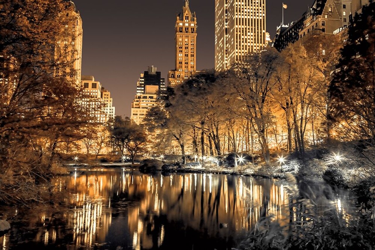 Central Park Glow Poster Print by Assaf Frank - Item # VARPDX50157